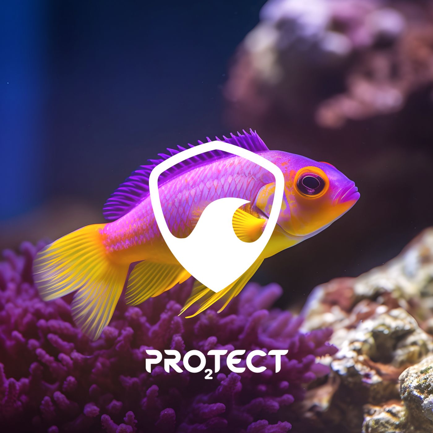 Pro2tect — cover